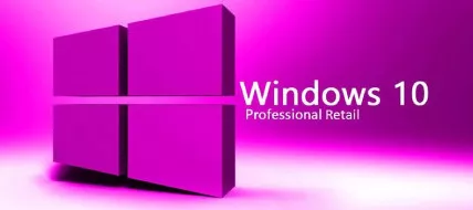 Windows 10 Professional  thumbnail