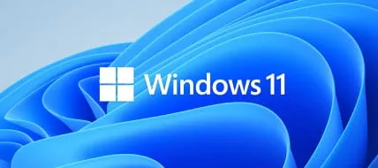 Windows 11 thumbnail