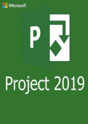 Microsoft Project 2019 Professional