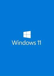 Windows 11